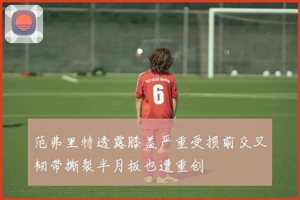 范弗里特透露膝盖严重受损前交叉韧带撕裂半月板也遭重创